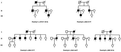 Identified novel heterozygous HTRA1 pathogenic variants in Chinese patients with HTRA1-associated dominant cerebral small vessel disease